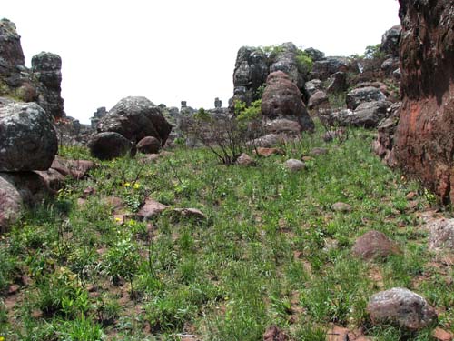 campo2