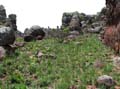 campo2