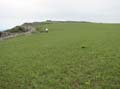 campo5