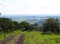 cerrado2