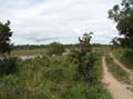 cerrado4